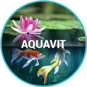 AquaVit vegyszermentes víztisztító